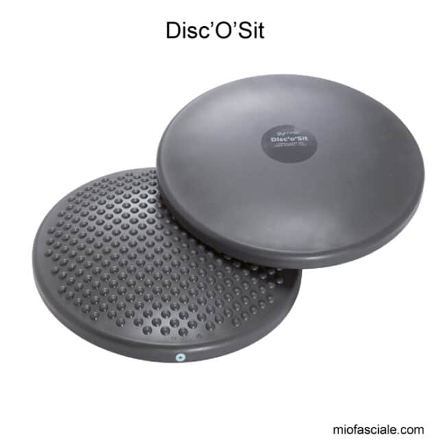 disco sit grigio, nuovo colore